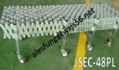 JSEC-48PL Plastics  skate wheel extensible conveyor
