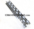 BW-2608PS-WW-1000L-20P plastics skate wheel conveyor